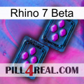 Rhino 7 Beta 03